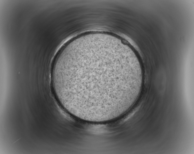 X0000084050837200703092050