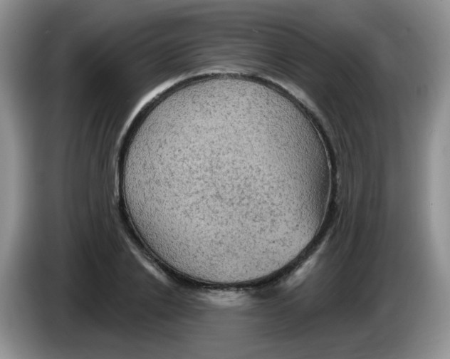 X0000084050838200703092051