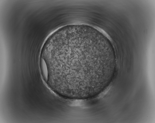 X0000084050839200703092051