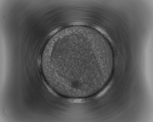 X0000084050841200703092051