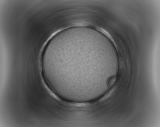 X0000084050843200703092051