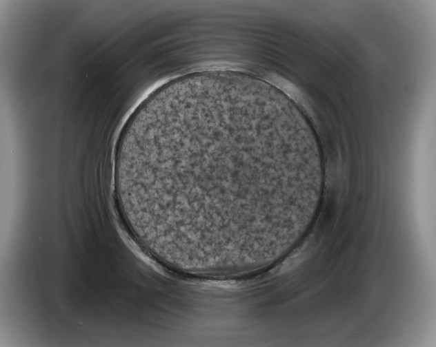 X0000084050844200703092051