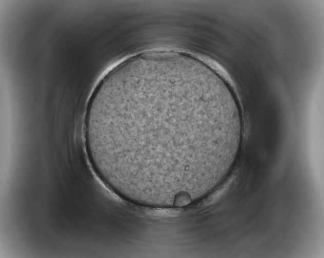 X0000084050847200703092051