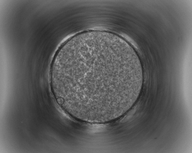 X0000084050848200703092051