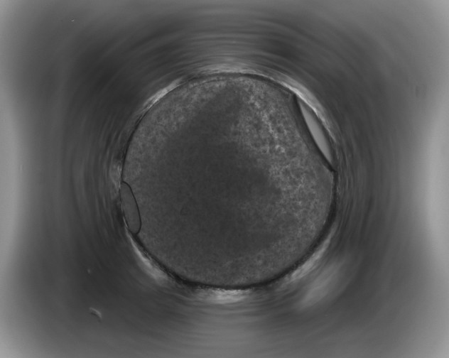 X0000084050849200703092051