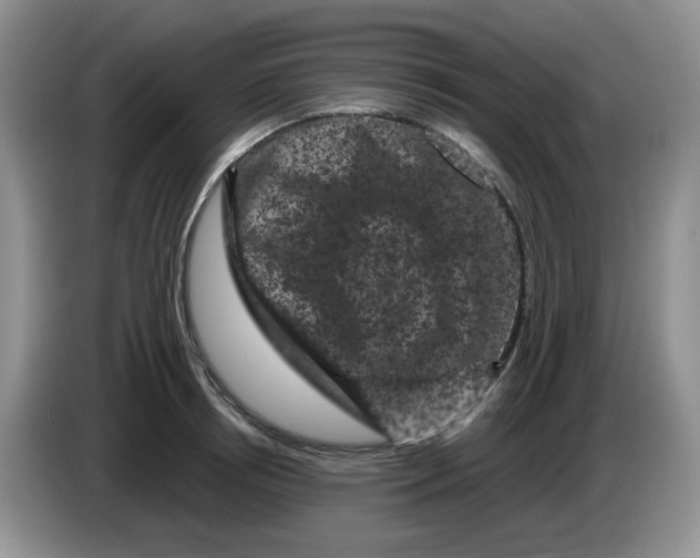 X0000084050850200703092051