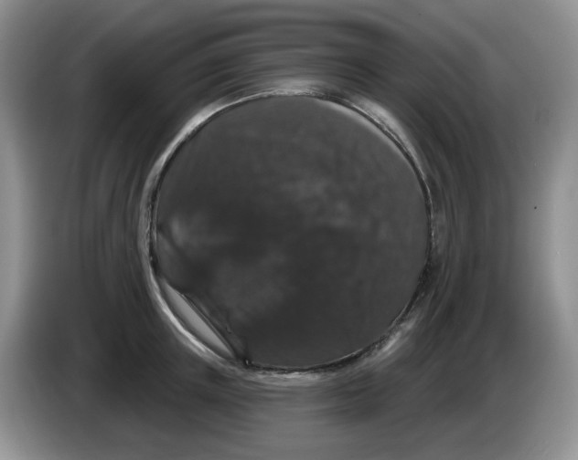 X0000084050851200703092051