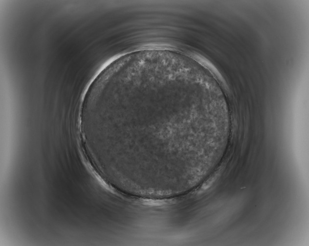 X0000084050852200703092051