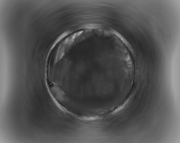 X0000084050853200703092051