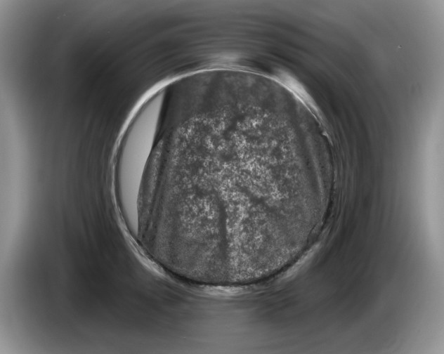 X0000084050854200703092051