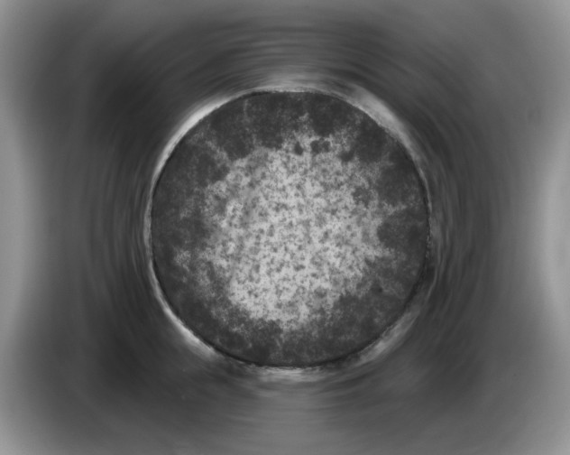 X0000084050855200703092051