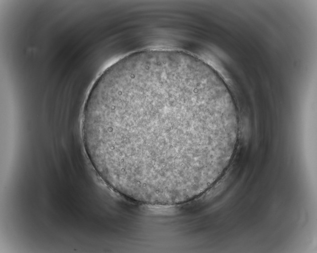 X0000084050856200703092051