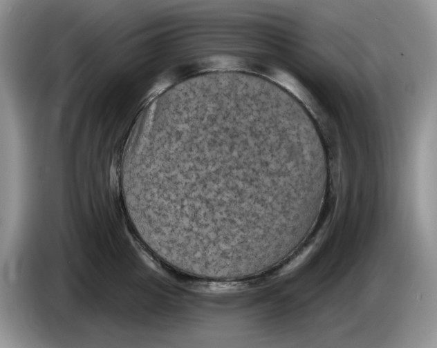 X0000084050857200703092051