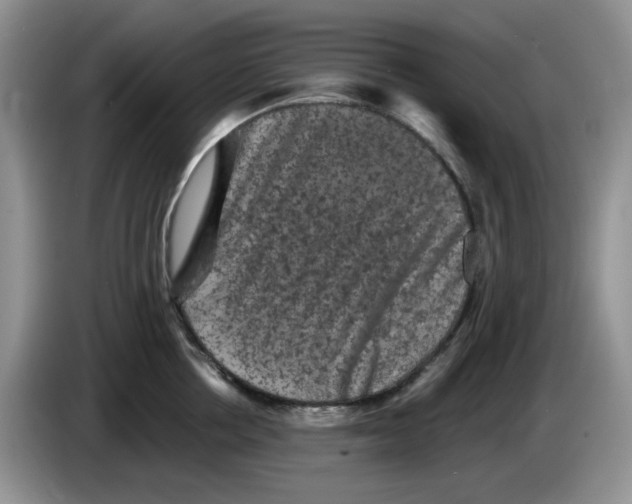 X0000084050858200703092051