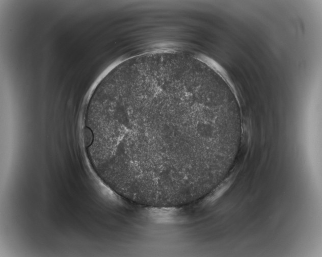 X0000084050859200703092051