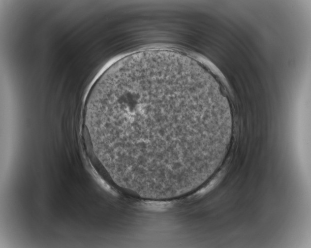 X0000084050860200703092051