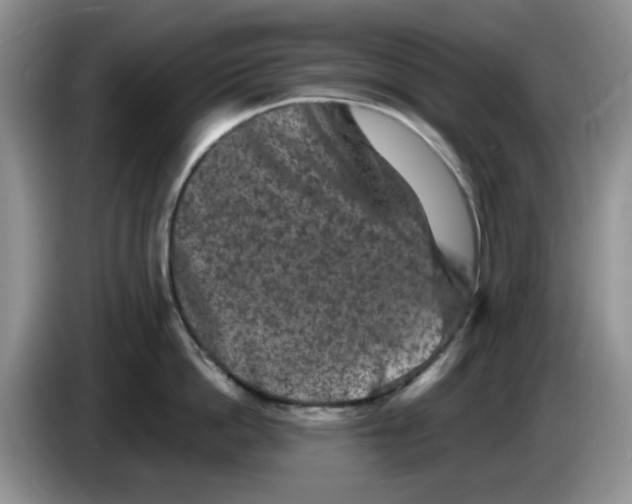 X0000084050862200703092051