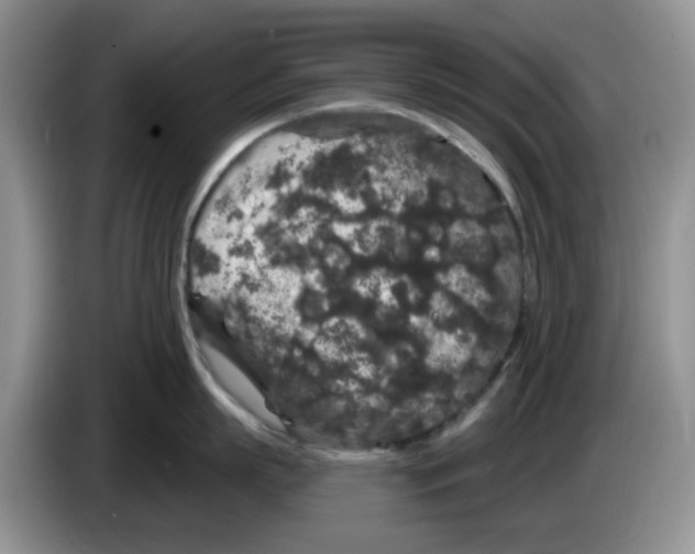 X0000084050863200703092051