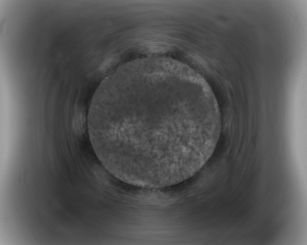 X0000084050866200703092050