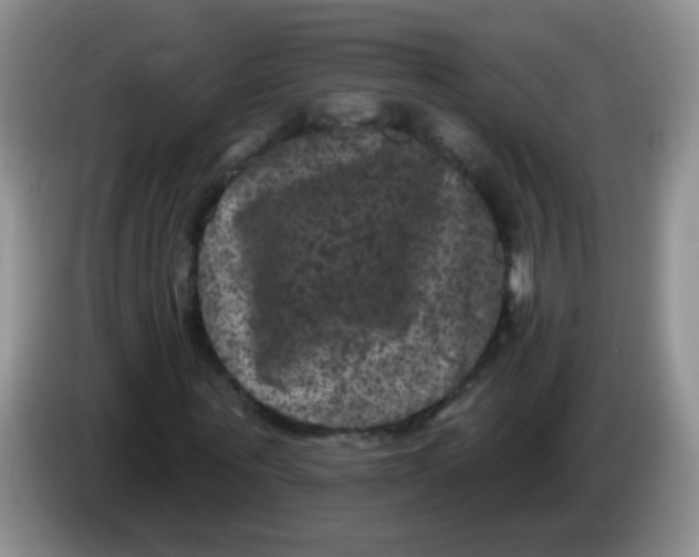 X0000084050867200703092050