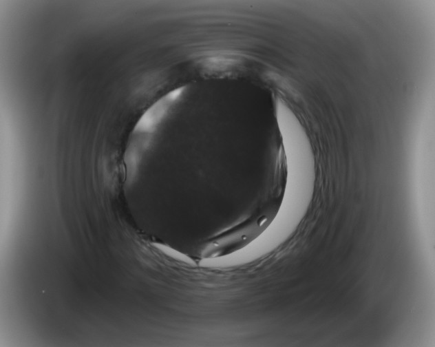 X0000084050868200703092050