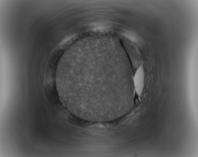 X0000084050869200703092050