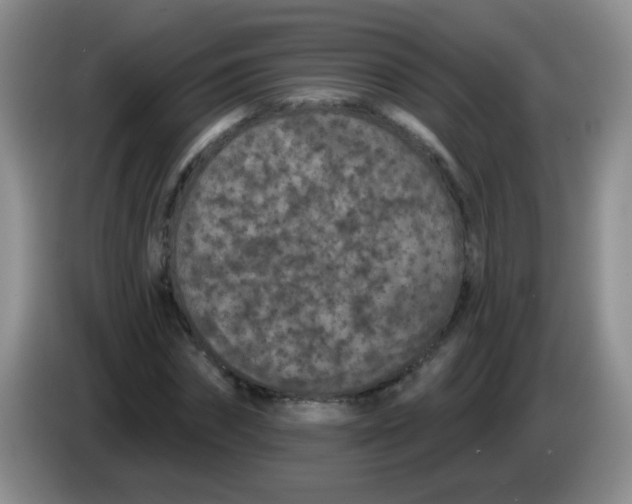 X0000084050874200703092050