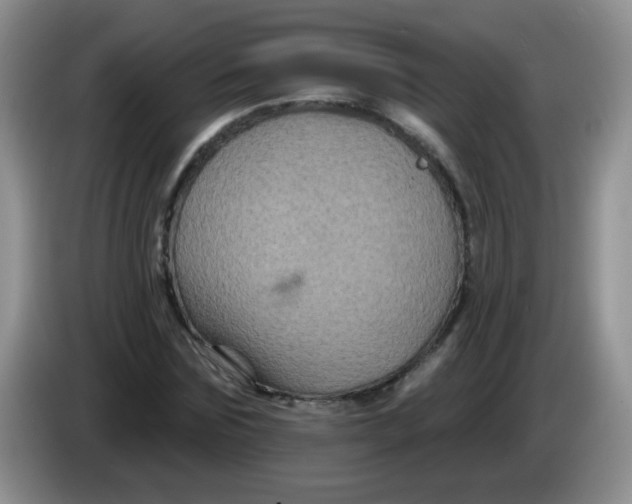 X0000084050875200703092050