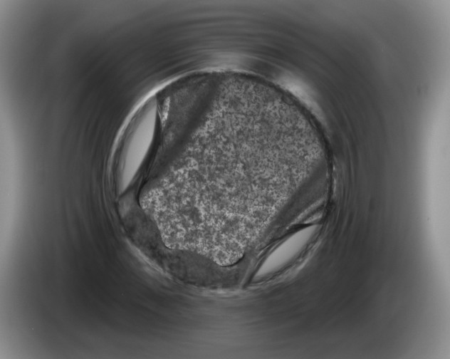 X0000084050876200703092050