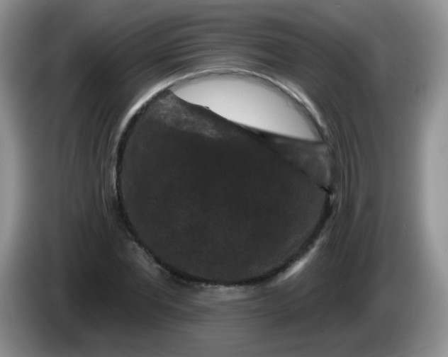 X0000084050877200703092050