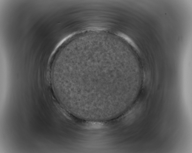 X0000084050878200703092050