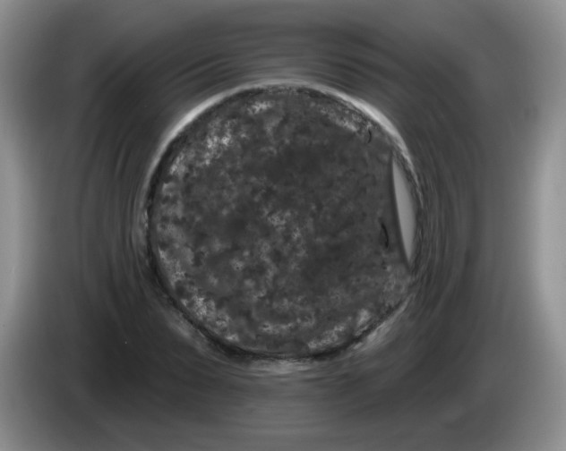 X0000084050879200703092050