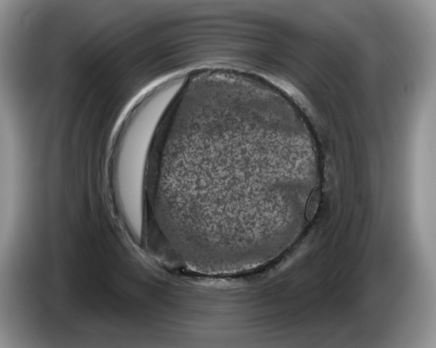 X0000084050880200703092050