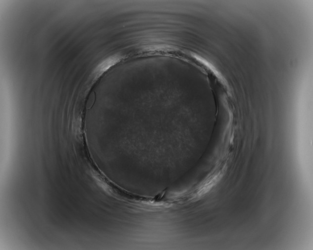 X0000084050881200703092050