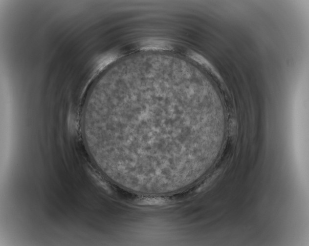 X0000084050882200703092050