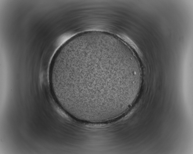 X0000084050884200703092050