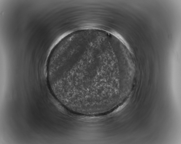 X0000084050885200703092050