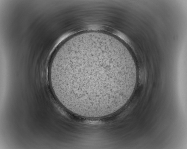 X0000084050886200703092050