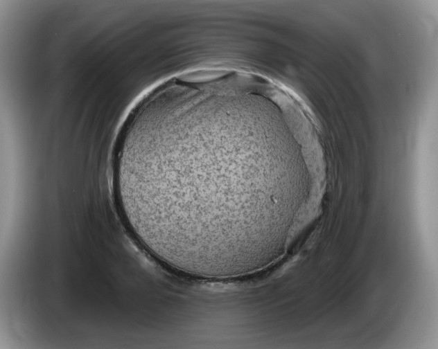 X0000084050888200703092050