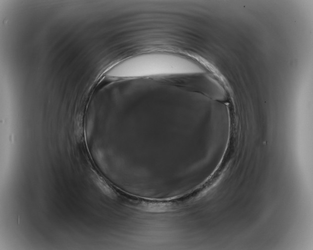 X0000084050889200703092050