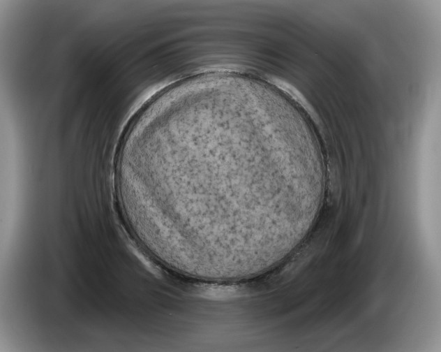 X0000084050890200703092050