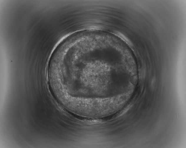 X0000084050891200703092050