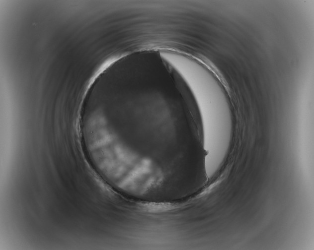 X0000084050893200703092050