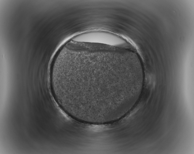 X0000084050894200703092050