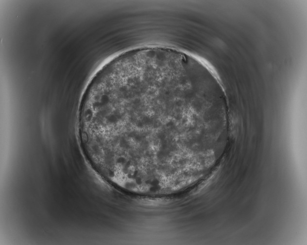 X0000084050895200703092050