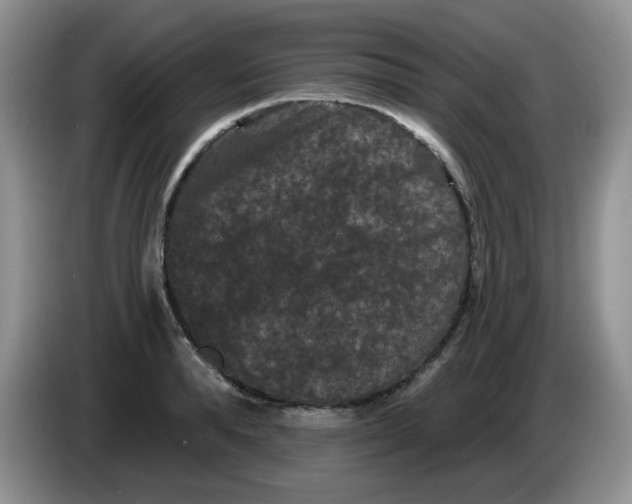 X0000084050896200703092050