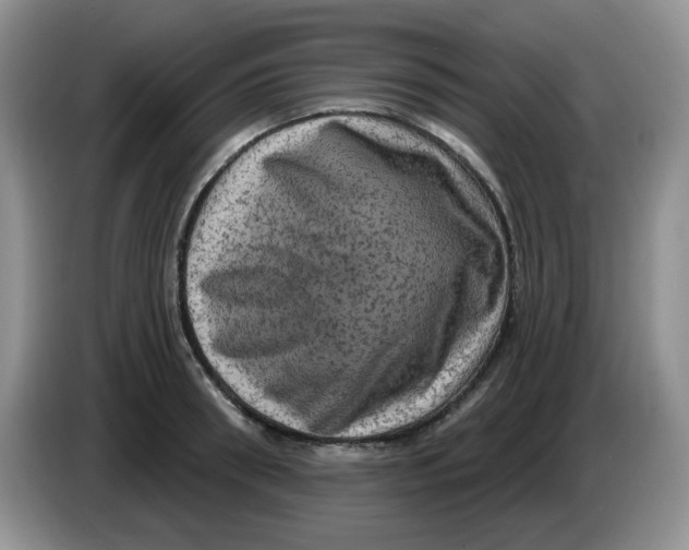 X0000084050898200703092050