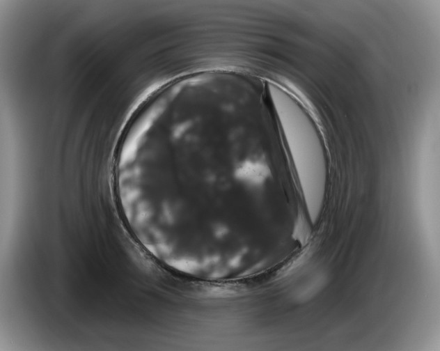 X0000084050899200703092050