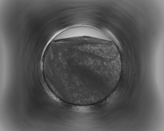 X0000084050900200703092050