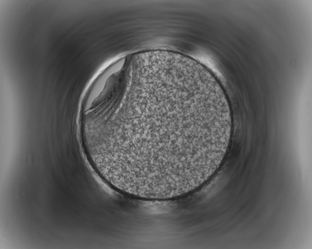 X0000084050902200703092050